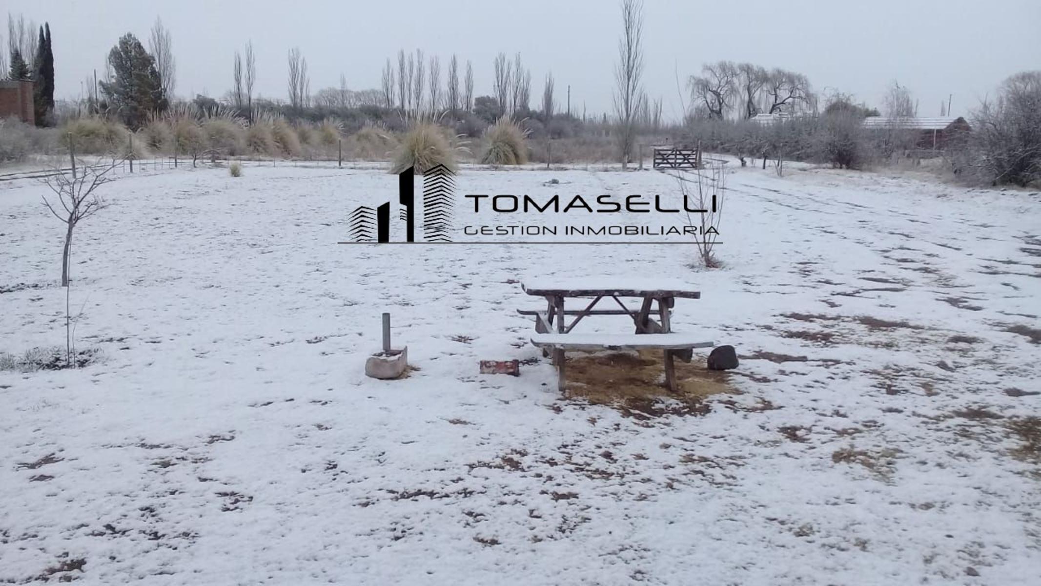 VENTA - FINCA CON CASA Y PLANTACION- RAMA CAIDA - MENDOZA - 19