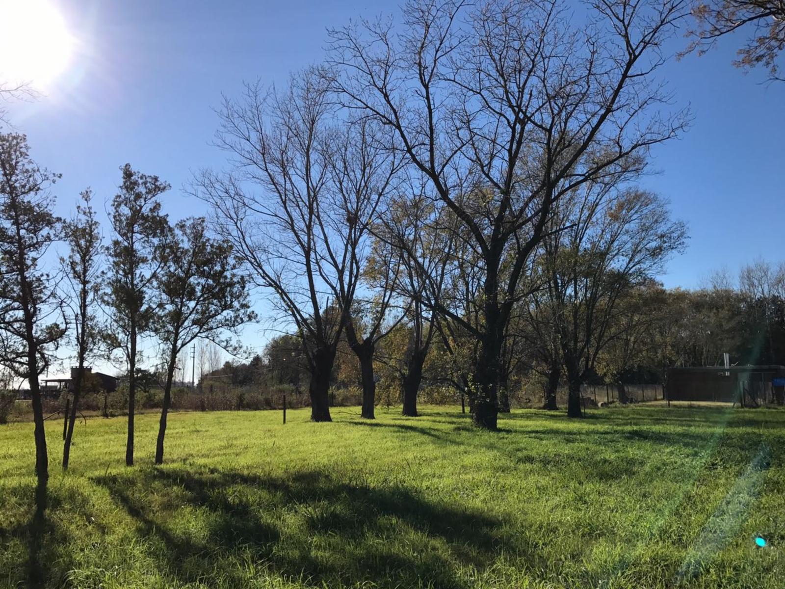 Terreno en Venta en Funes, Rosario, Santa Fé. Las Tardes — foto 5