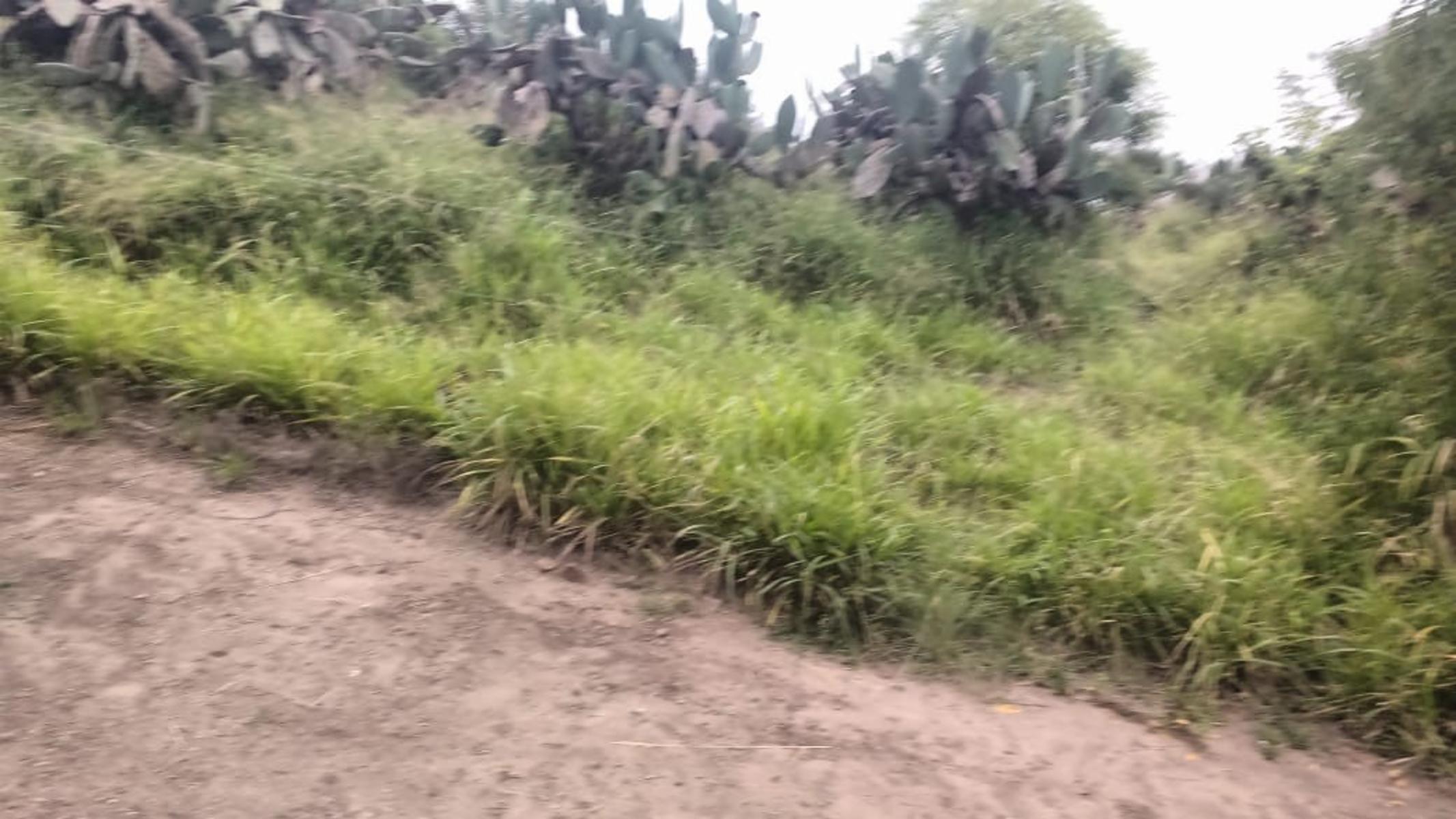 EXCELENTE CASA DE CAMPO - 3