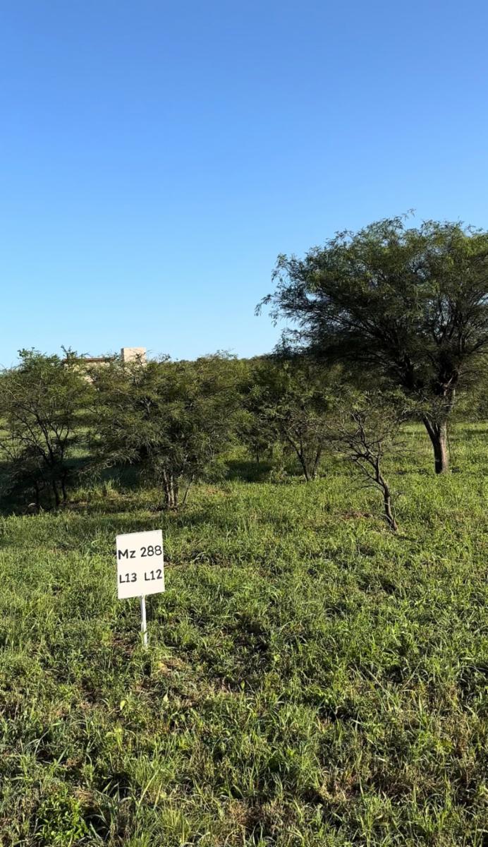 LOTEO EXTENCION LA PEDRERA CON TODOS LOS SEERVICIOS - 4