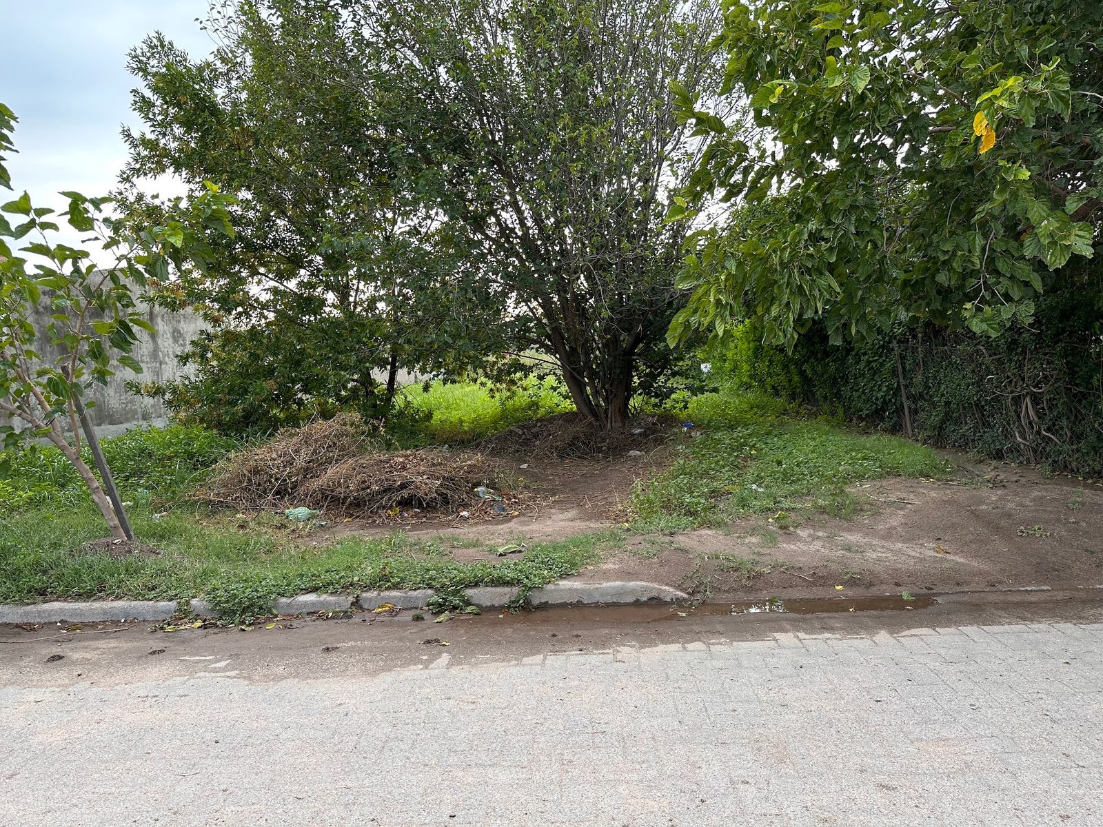 LOTE EN Bº AMADEO SABATINI CON ADOQUINES Y GAS NATURAL . TODOS LOSSRVICIOS - ESCTITURA AL DIA - 2