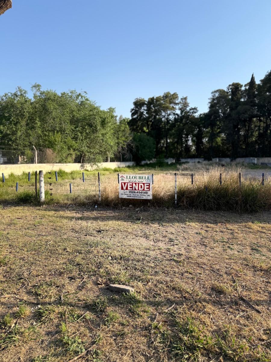 LOTE BV. MOYANO TREBUCK - 1