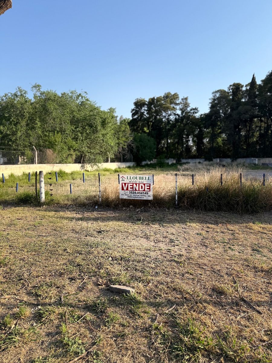 LOTE BV. MOYANO TREBUCK - 2