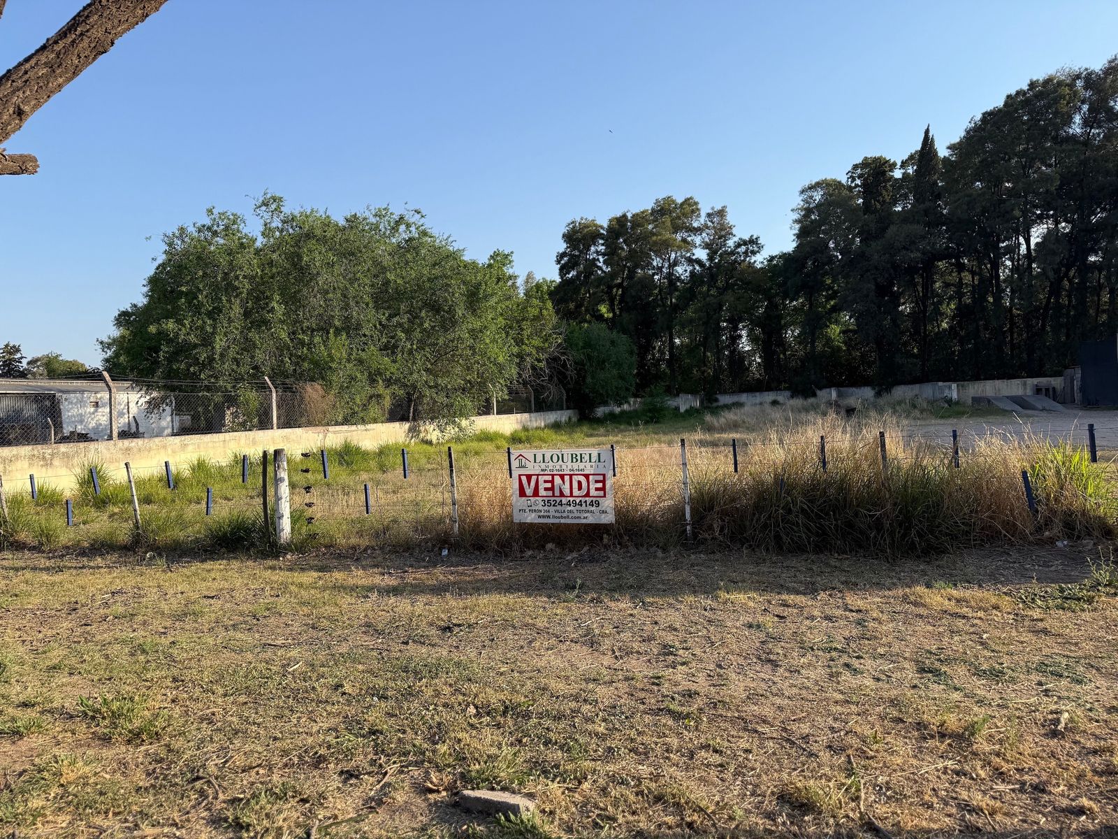 LOTE BV. MOYANO TREBUCK - 3