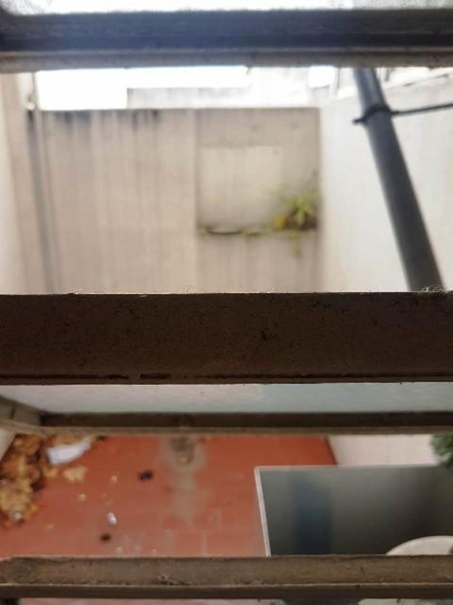 Departamento en venta de tres ambientes con dos patios en Ramos Mejia — foto 7