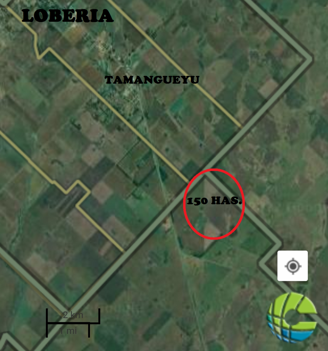 150 HAS. PARTIDO DE LOBERIA. TAMANGUEYU - 3