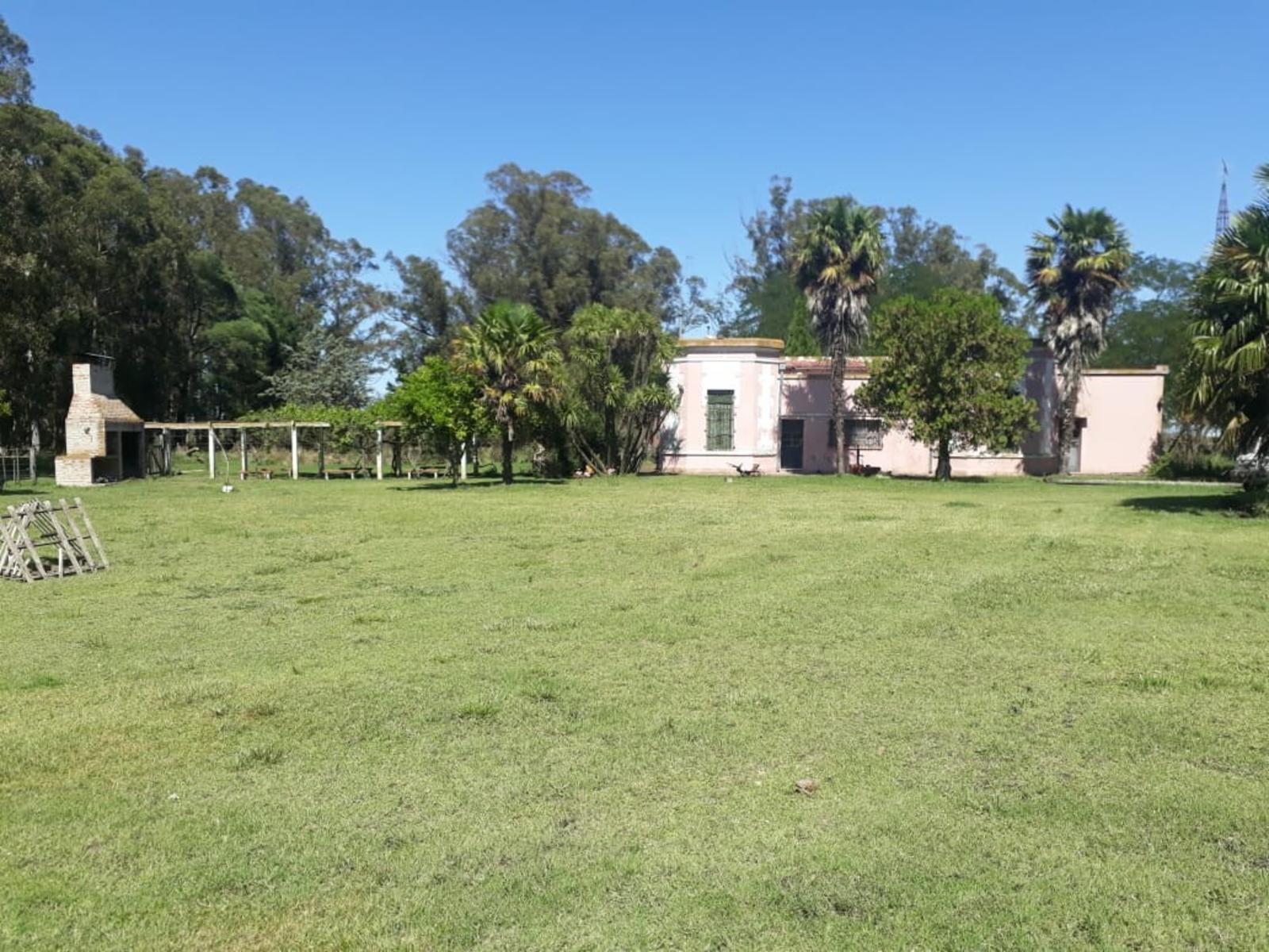 CAMPO CHACRA 12 HECTARIAS. PDO. LOBERIA - 1
