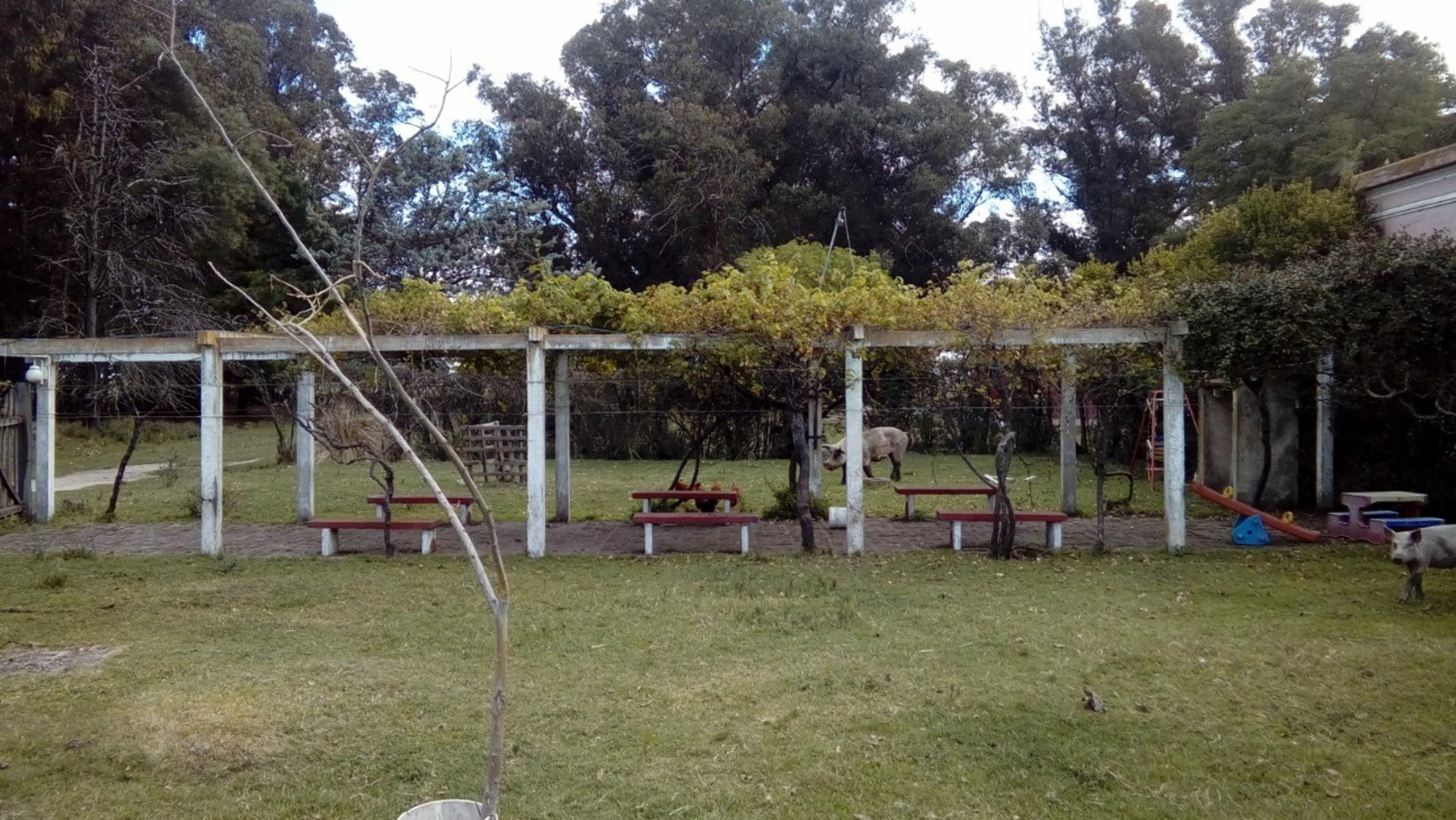 CAMPO CHACRA 12 HECTARIAS. PDO. LOBERIA - 3