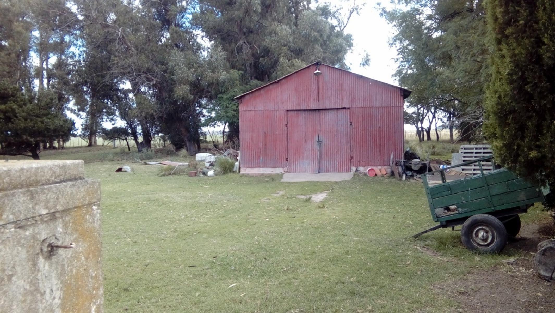 CAMPO CHACRA 12 HECTARIAS. PDO. LOBERIA - 4