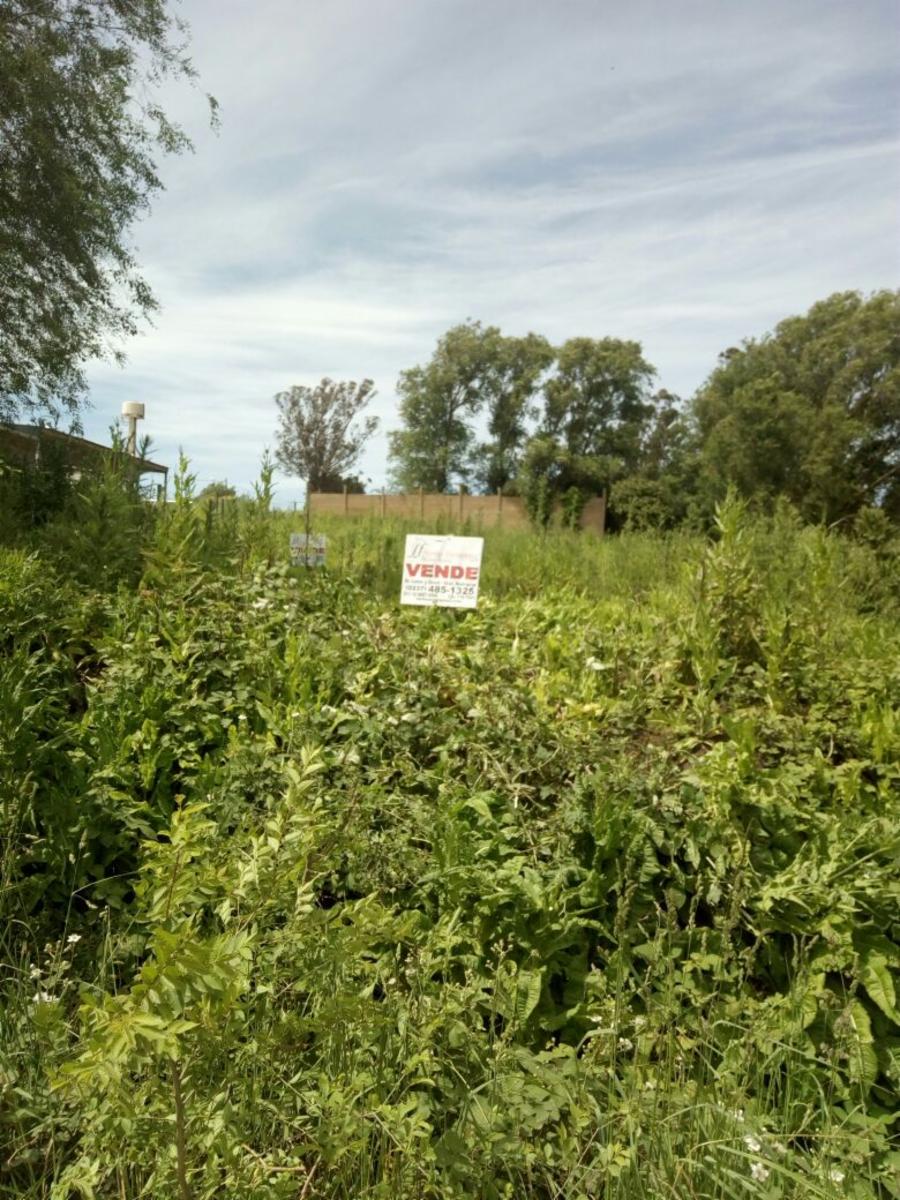 ¡OPORTUNIDAD HERMOSO LOTE DE TERRENO EN SIERRA DE LOS PADRES — foto 4