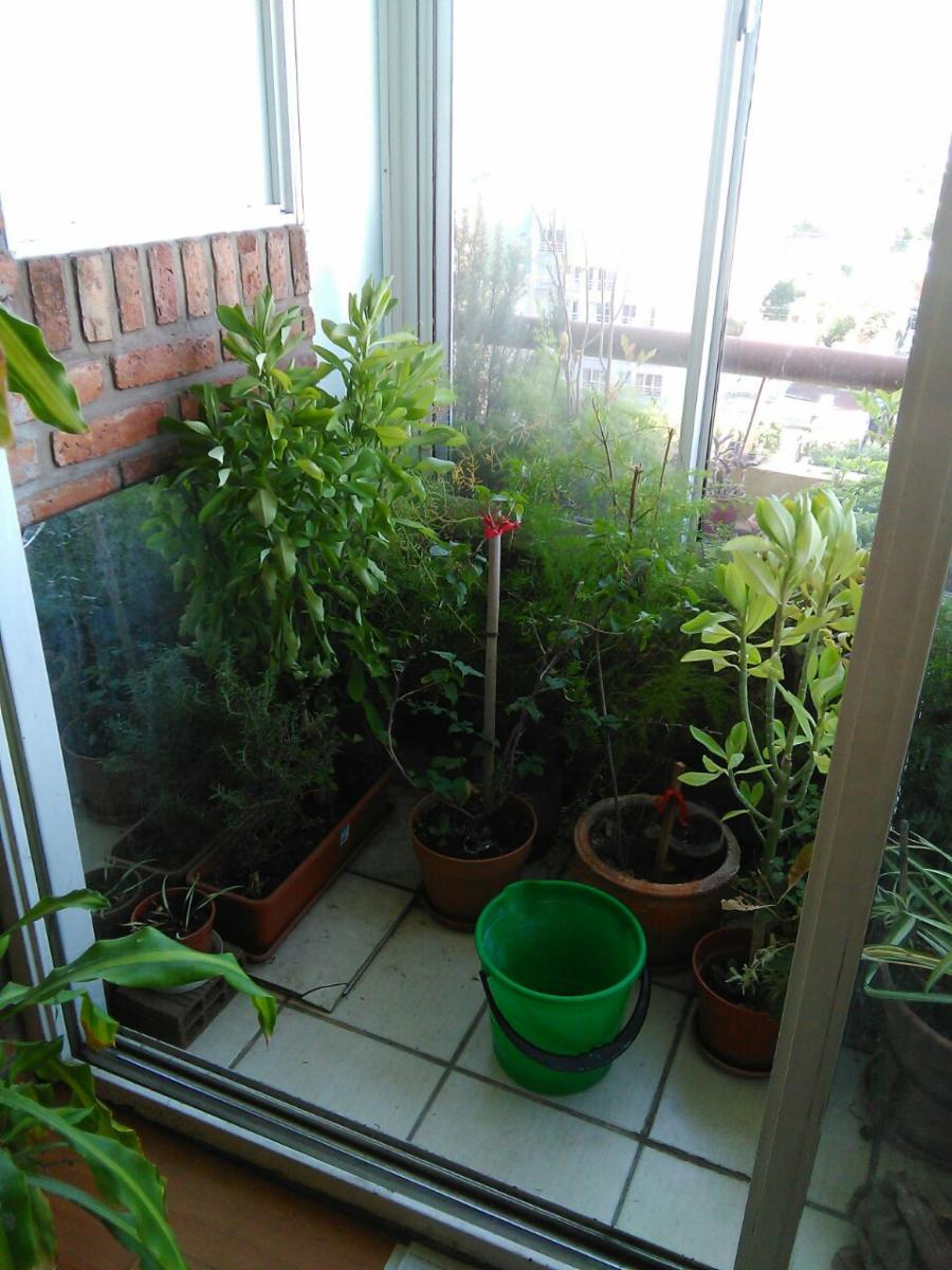 ¡IMPERDIBLE EXCELENTE DEPTO DE 4 AMBIENTES EN EL PRIMER Y MEJOR BARCELONA (BCN I). — foto 4