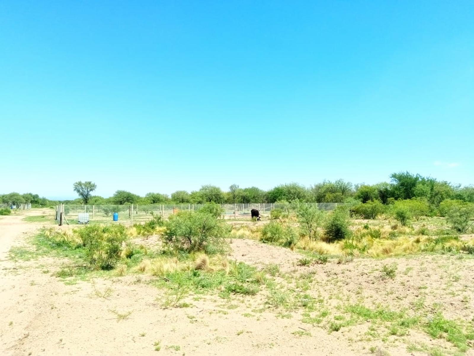 LOTES EN VENTA SOBRE RUTA 3 VILLA LA QUEBRADA - 1