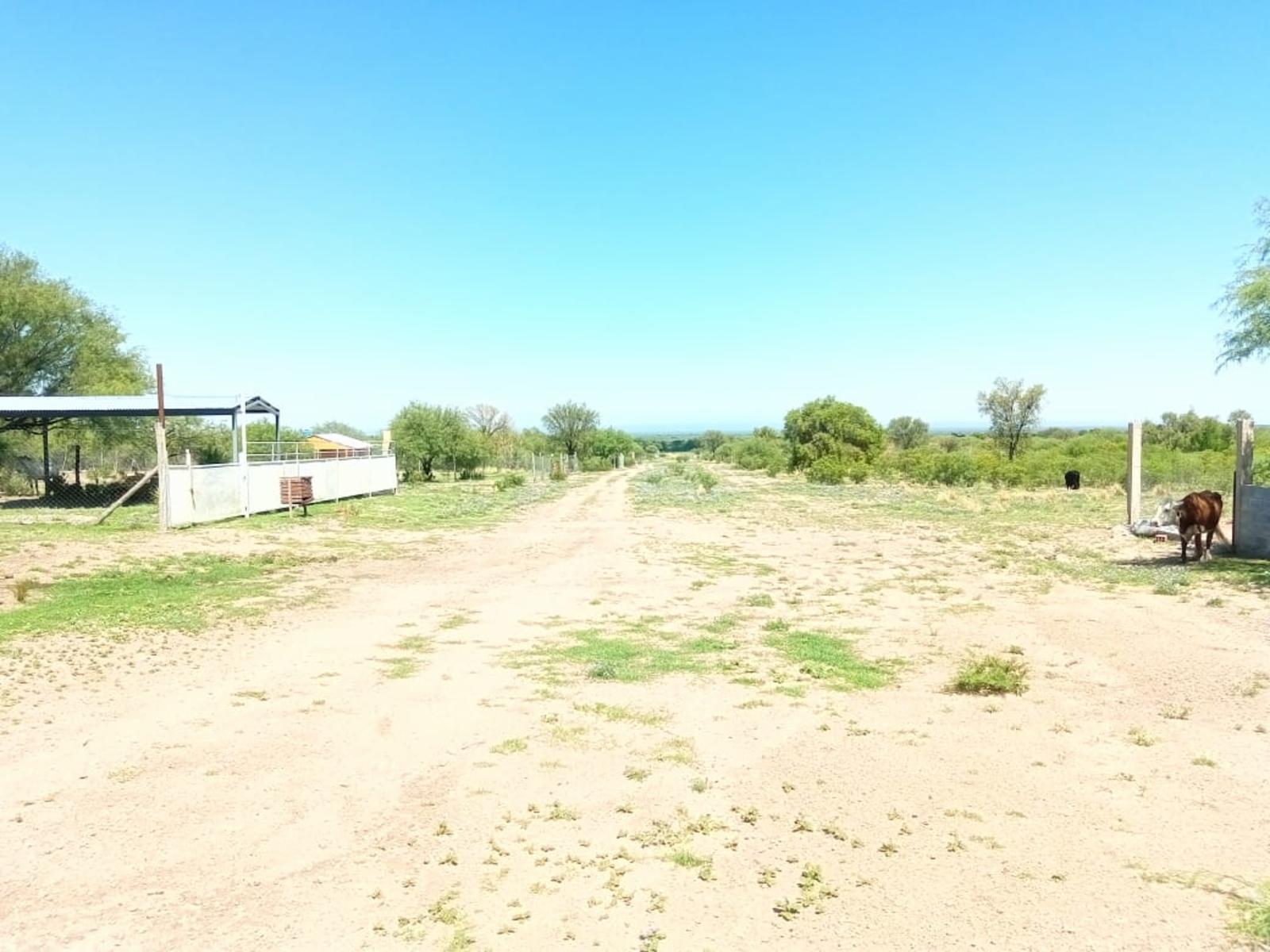 LOTES EN VENTA SOBRE RUTA 3 VILLA LA QUEBRADA - 7