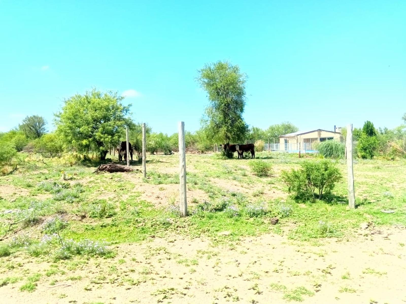 LOTES EN VENTA SOBRE RUTA 3 VILLA LA QUEBRADA - 9