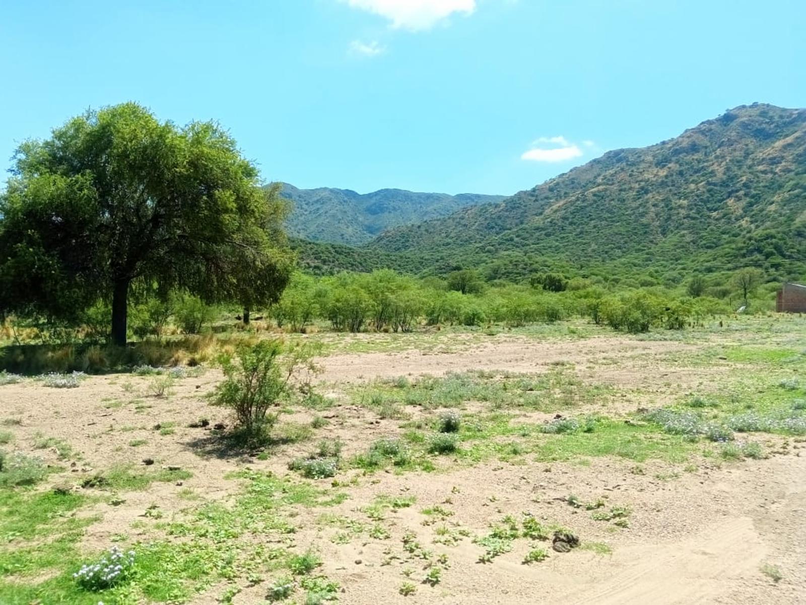 LOTES EN VENTA SOBRE RUTA 3 VILLA LA QUEBRADA - 13