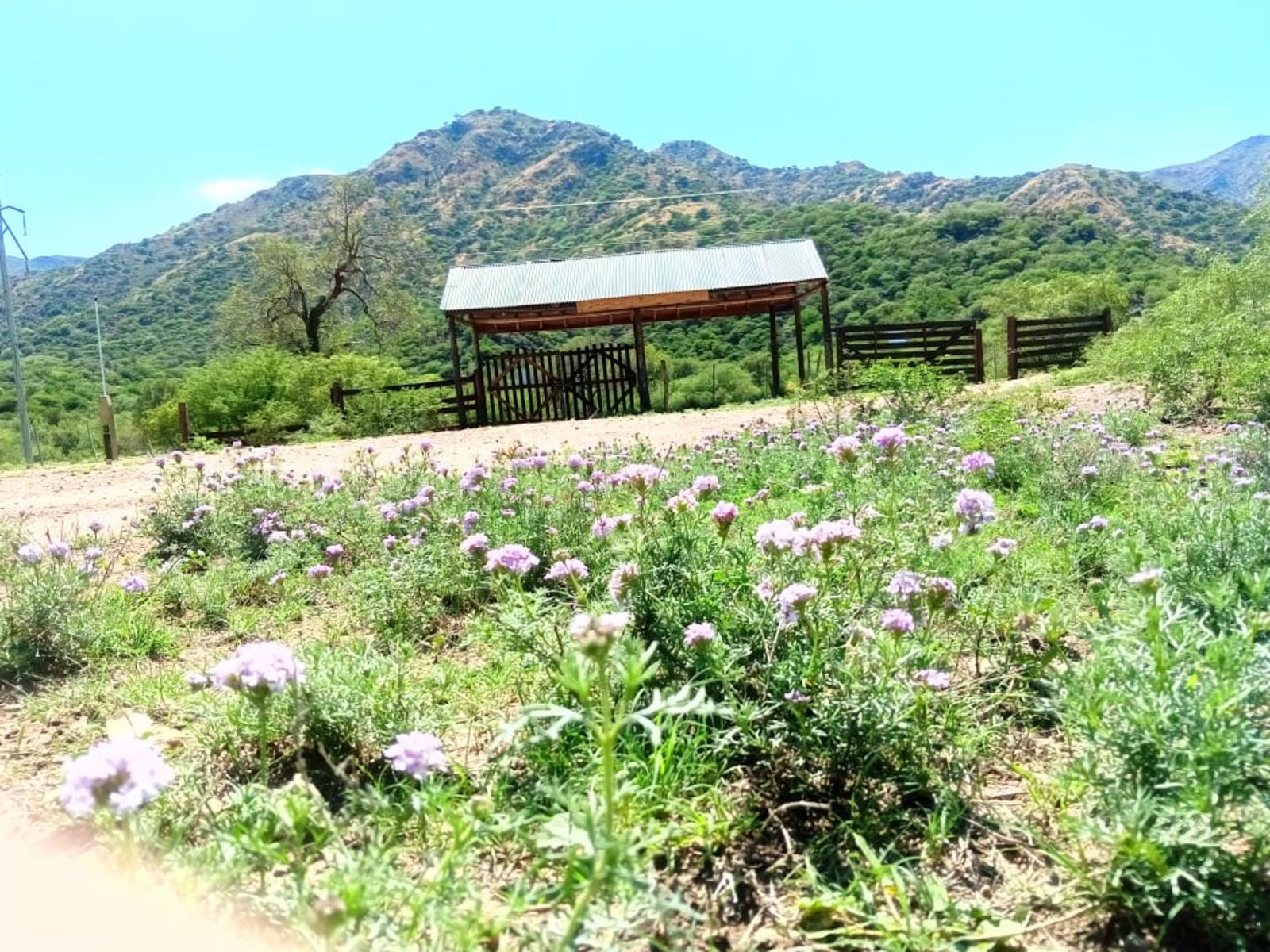 LOTES EN VENTA SOBRE RUTA 3 VILLA LA QUEBRADA - 15