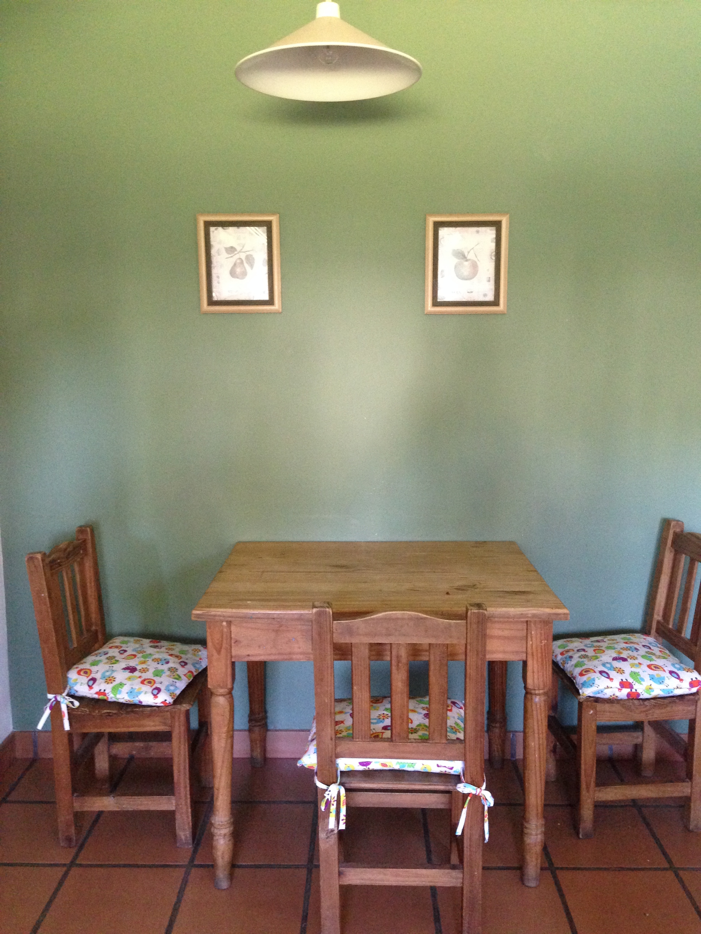 El pato Verde — foto 4