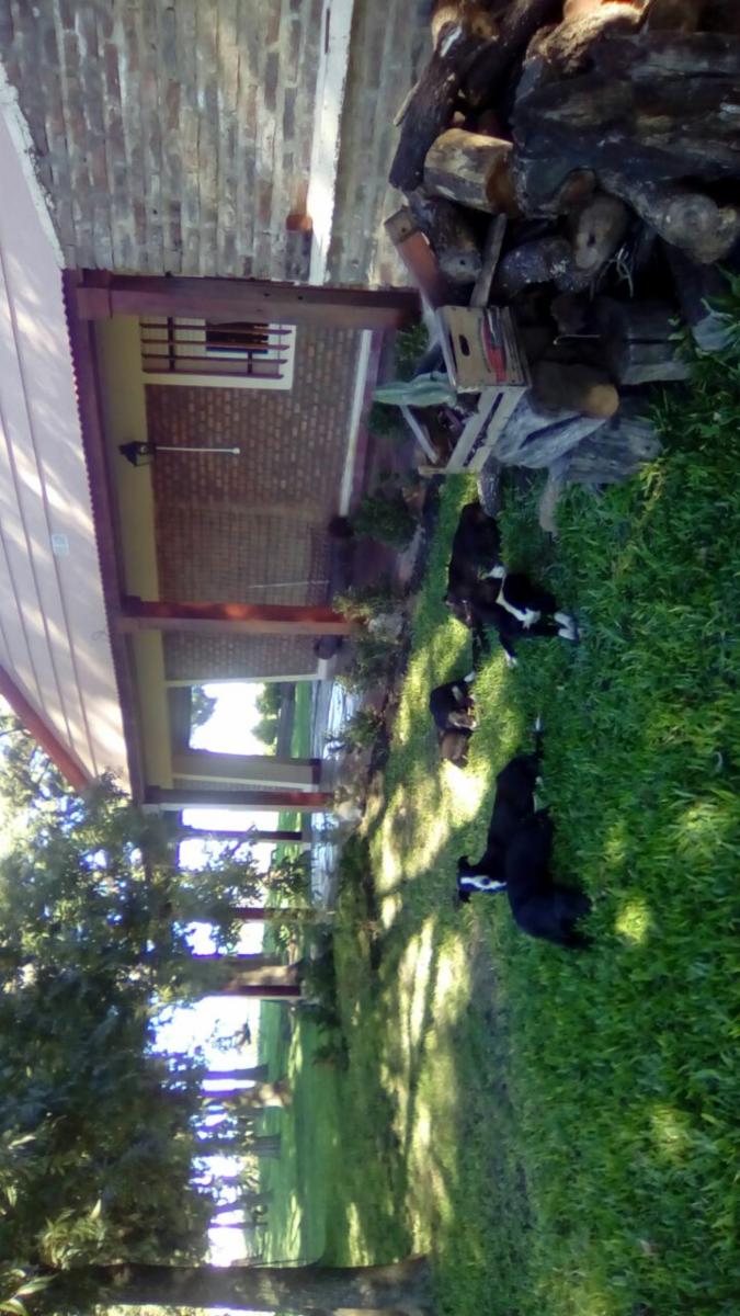 080- LOTE ENTRE RIOS - 2
