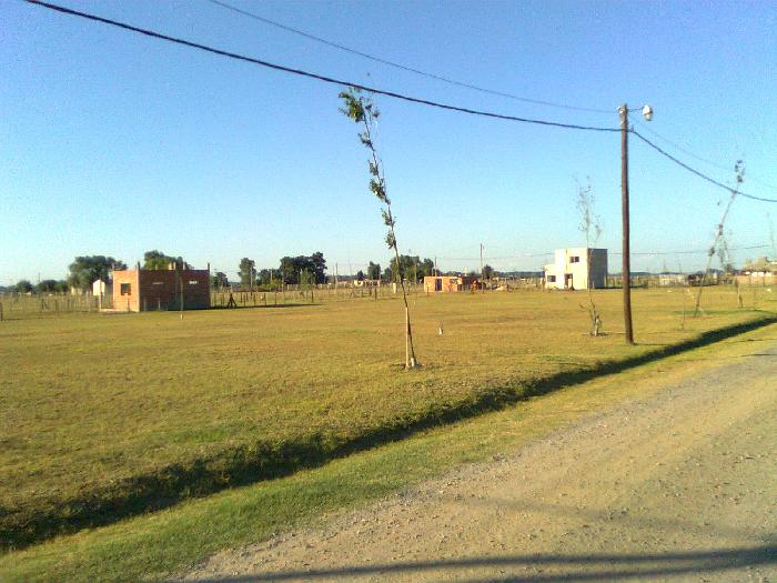 Terreno en Venta en Barrio Domselaar Chico, Buenos Aires — foto 6