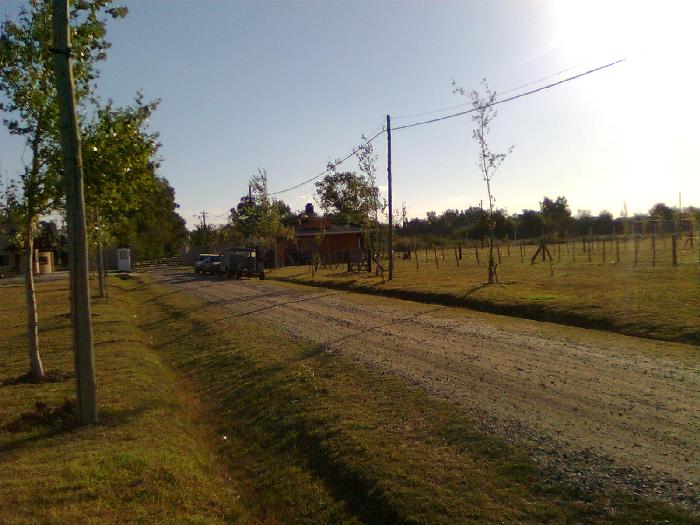 Terreno en Venta en Barrio Domselaar Chico, Buenos Aires — foto 7