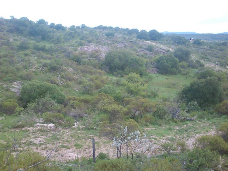 Venta de Terrenos en Agua Clara — foto 7