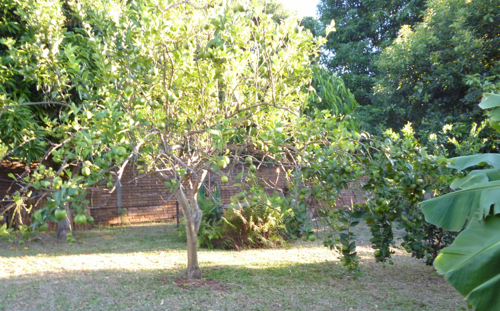 GUIDEK - STASIUK PROPIEDADES VENDE HERMOSA CASA — foto 6