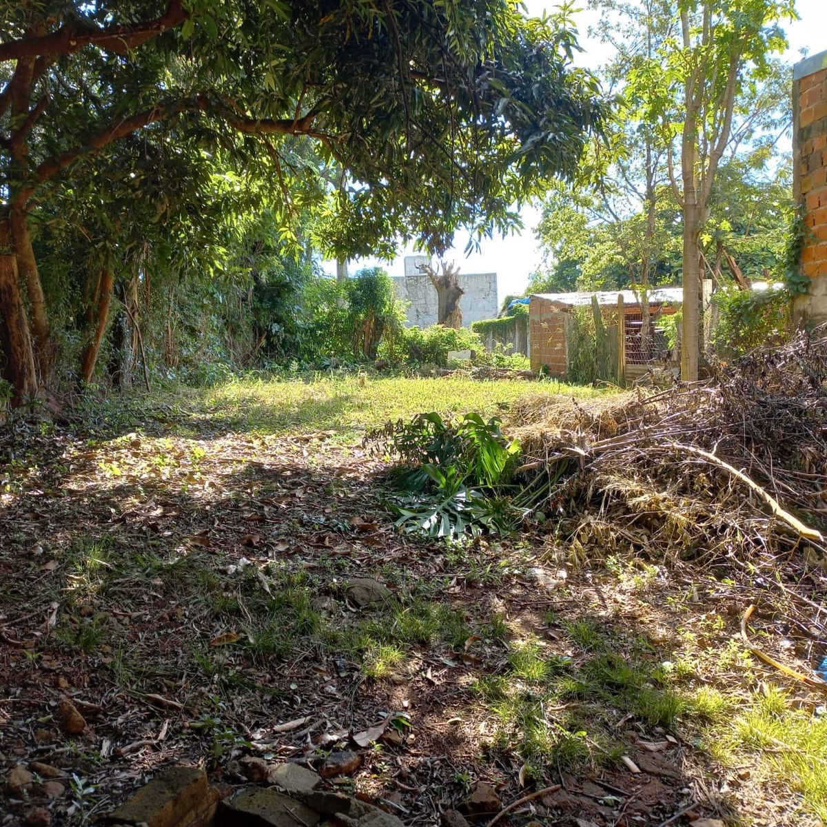 GUIDEK STASIUK PROPIEDADES VENDE TERRENO CON CASA DE MADERA — foto 5