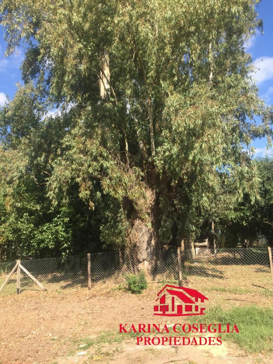 CASA EN VENTA A ESTRENAR ENTREGA MARZO 2019 , BARRIO LA ANGELICA .PILAR — foto 2