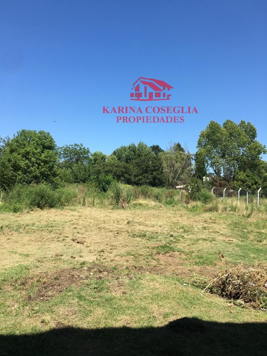 GALPON EN VENTA A 300 METROS DE LA RUTA 25 . PILAR — foto 13