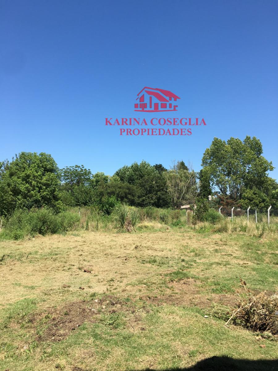 GALPON EN VENTA A 300 METROS DE LA RUTA 25 . PILAR — foto 14