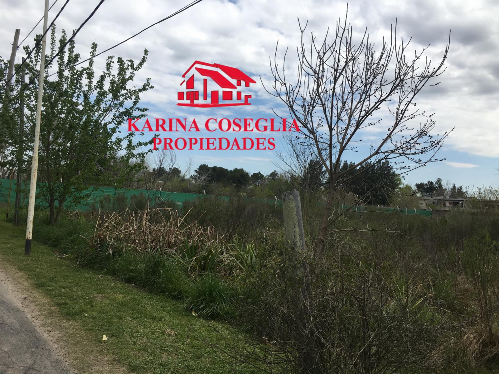 LOTE EN VENTA IDEAL EMPRENDIMIENTO, PILAR — foto 2