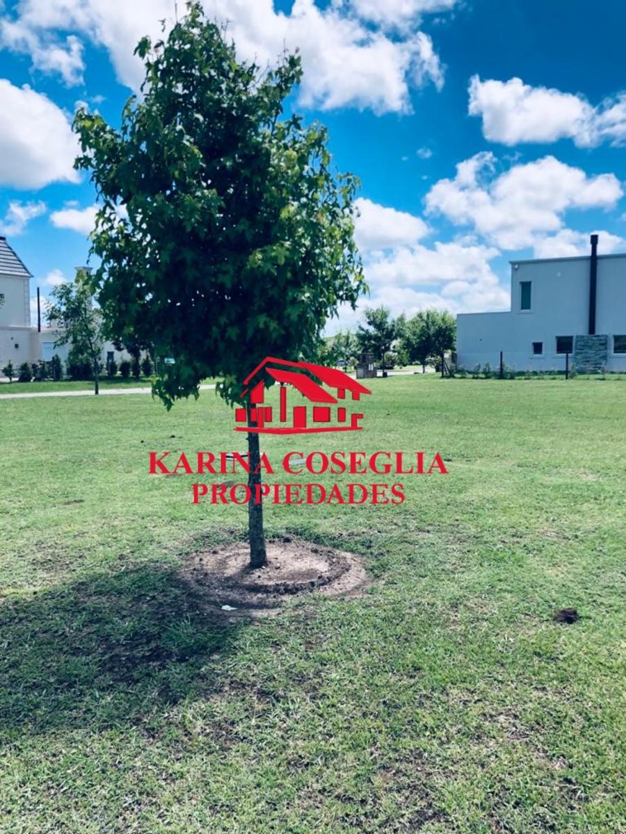 VENTA LOTE CENTRAL AYRES PLAZA . PILAR — foto 2