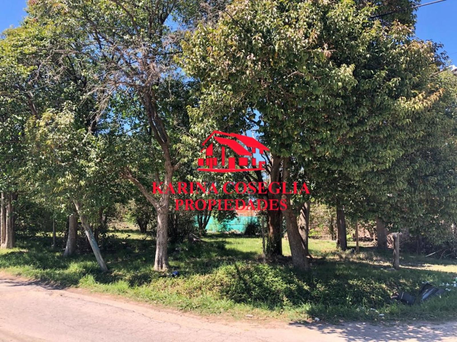 LOTE EN VENTA EN DE VICENZO GRANDE. — foto 2
