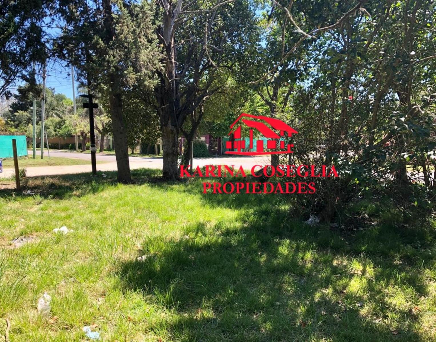 LOTE EN VENTA EN DE VICENZO GRANDE. — foto 3