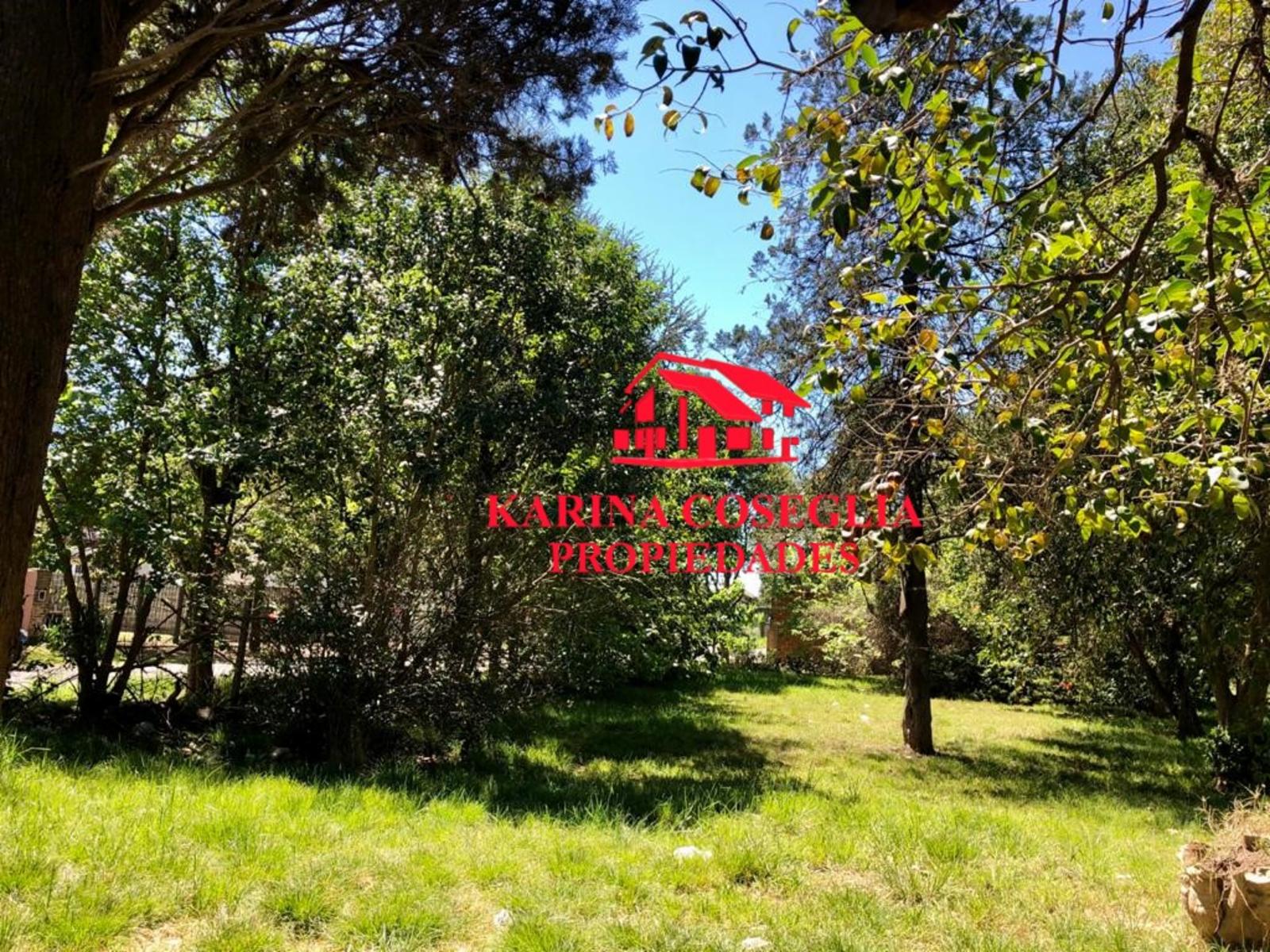LOTE EN VENTA EN DE VICENZO GRANDE. — foto 4