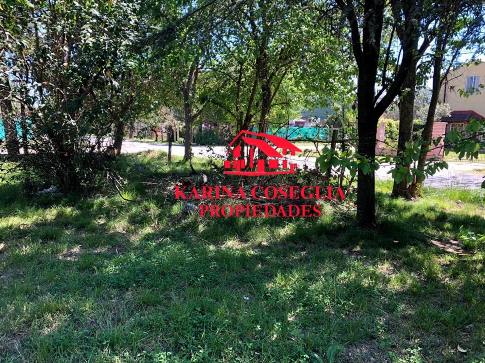 LOTE EN VENTA EN DE VICENZO GRANDE. — foto 5