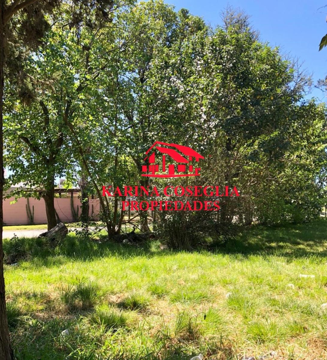 LOTE EN VENTA EN DE VICENZO GRANDE. — foto 7