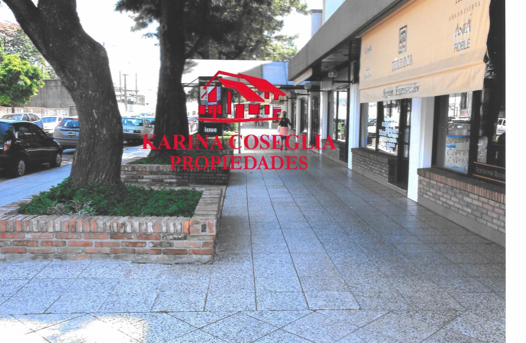 EXCELENTE LOCAL EN VENTA TORRE BIANEA, PILAR — foto 5