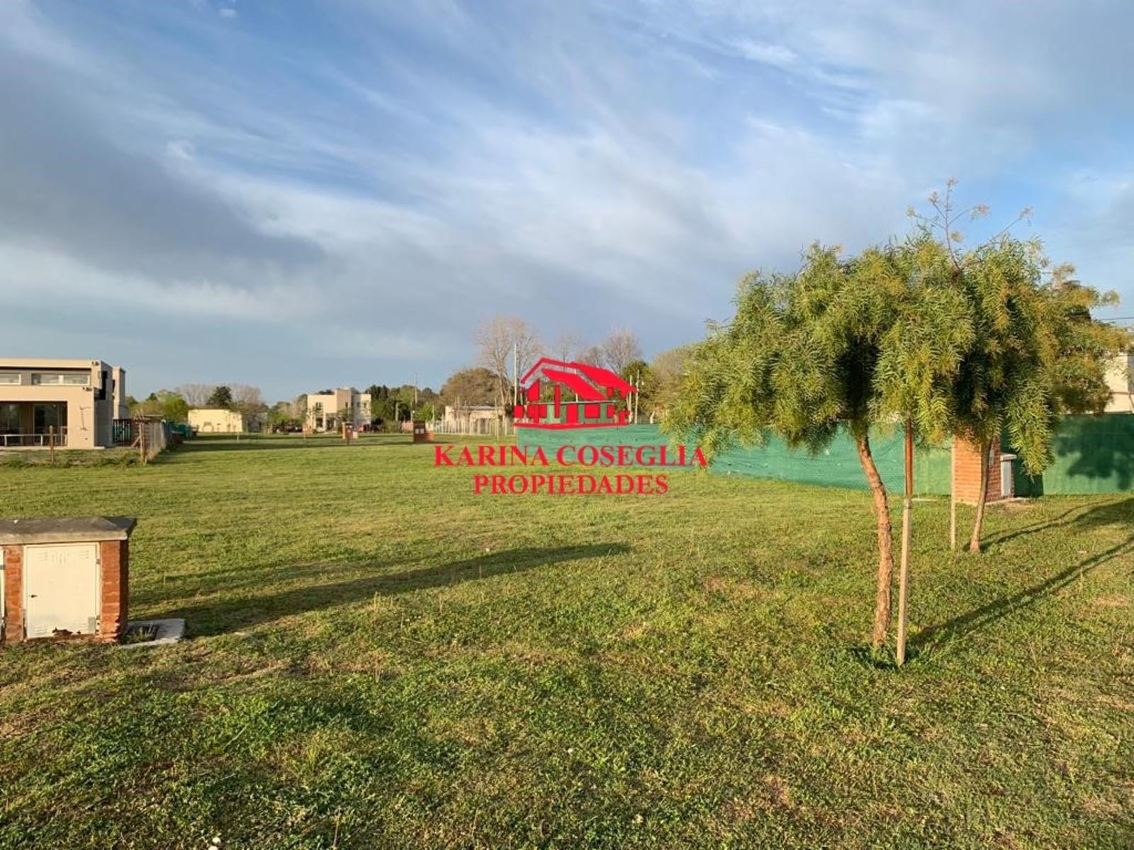 LOTE EN VENTA EN SAN RAMON, PILAR DEL ESTE — foto 5