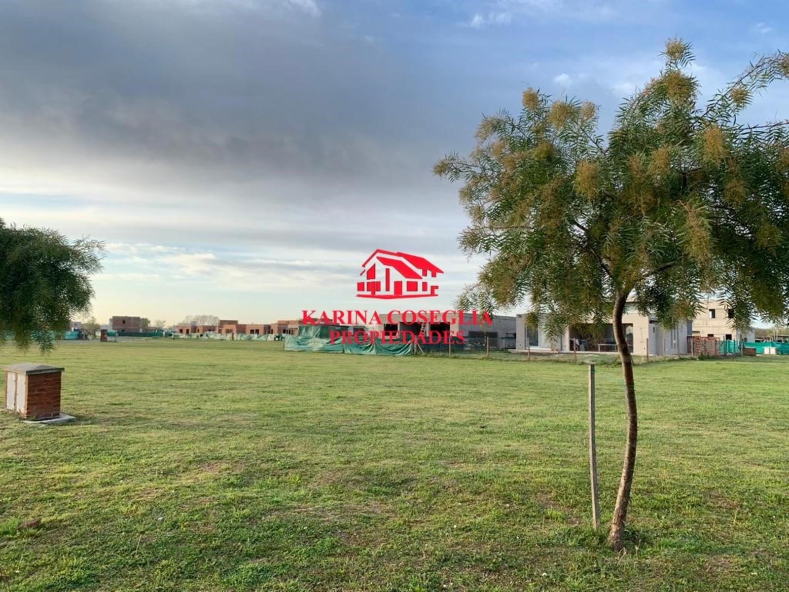 LOTE EN VENTA EN SAN RAMON, PILAR DEL ESTE — foto 8