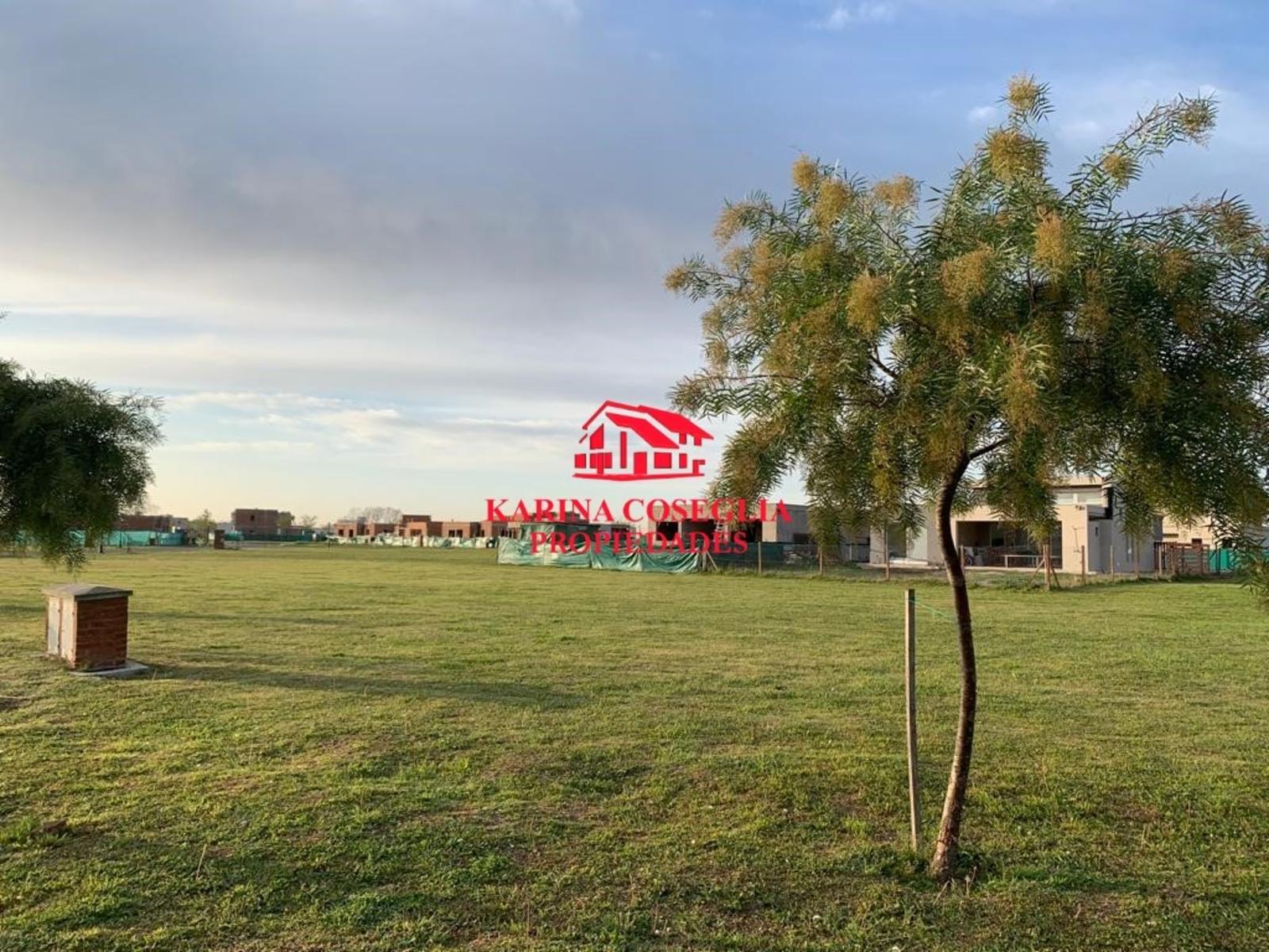 LOTE EN VENTA EN SAN RAMON, PILAR DEL ESTE — foto 9