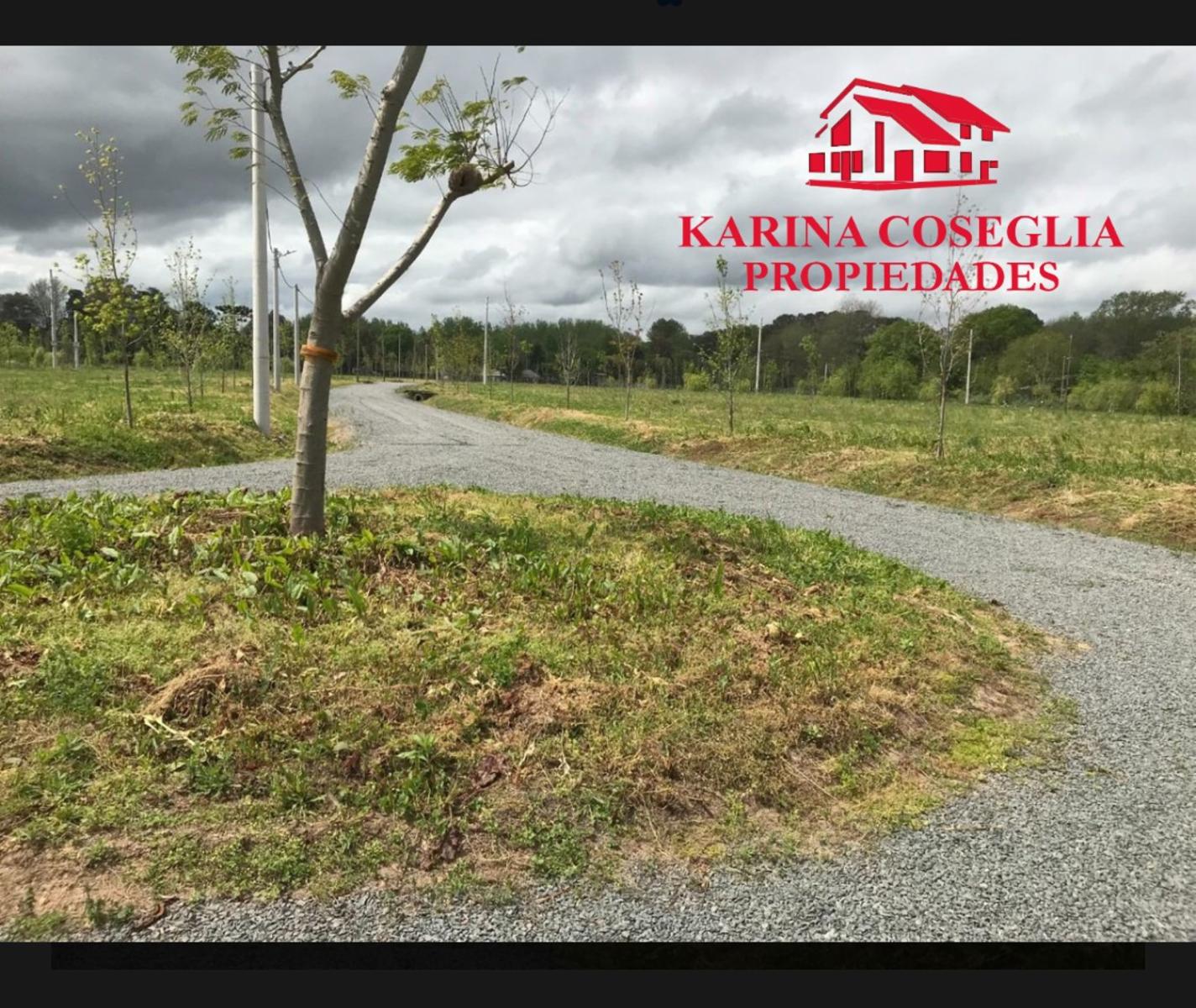 LOTE EN VENTA , ECO-CHACRA , SIN EXPENSAS — foto 4
