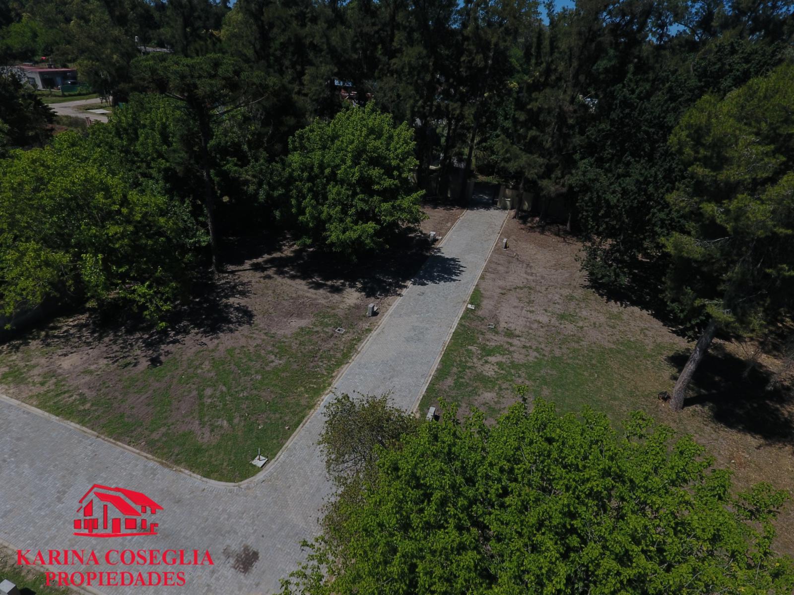 LOTES EN VENTA , LOS PINOS , OPORTUNIDAD — foto 4