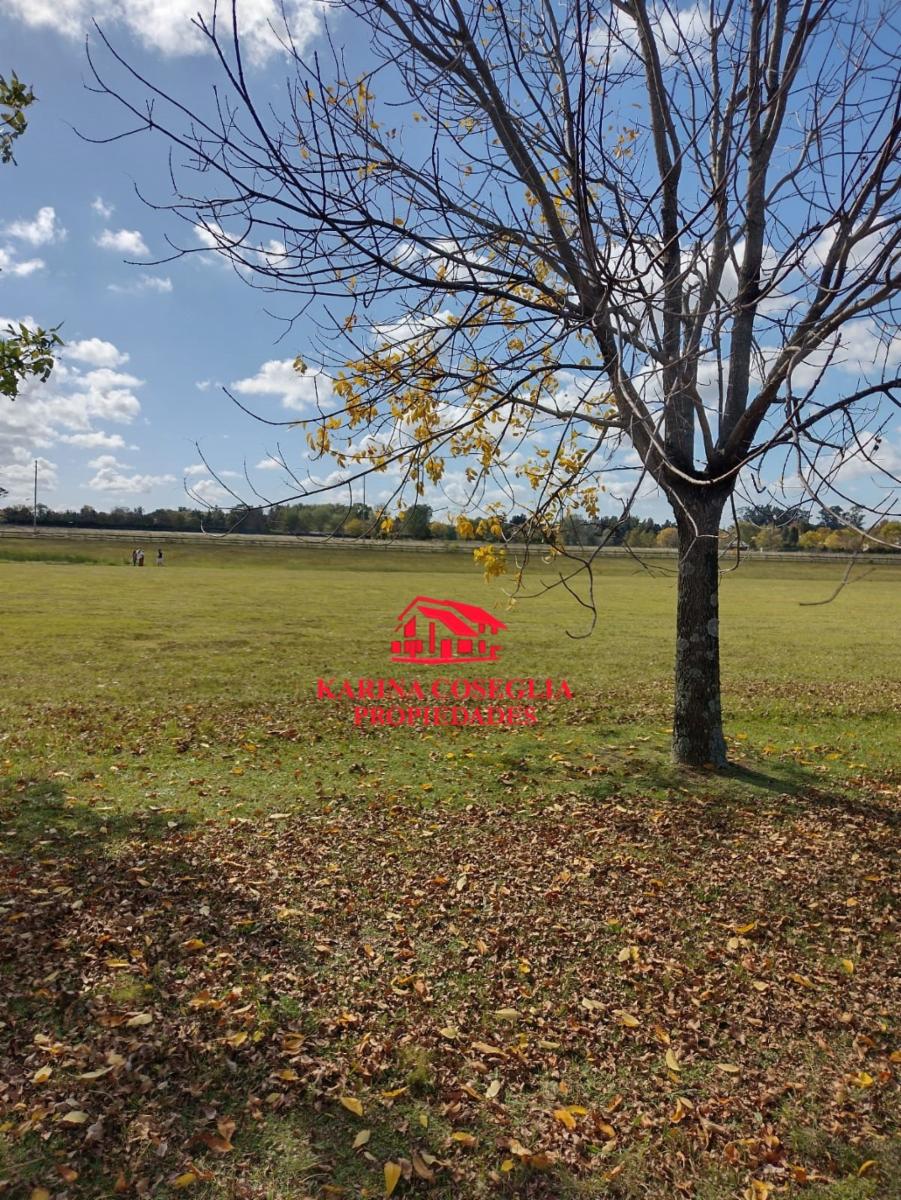 LOTE EN VENTA EN CLUB DE CAMPO LOS PALENQUES, MANZANARES — foto 2