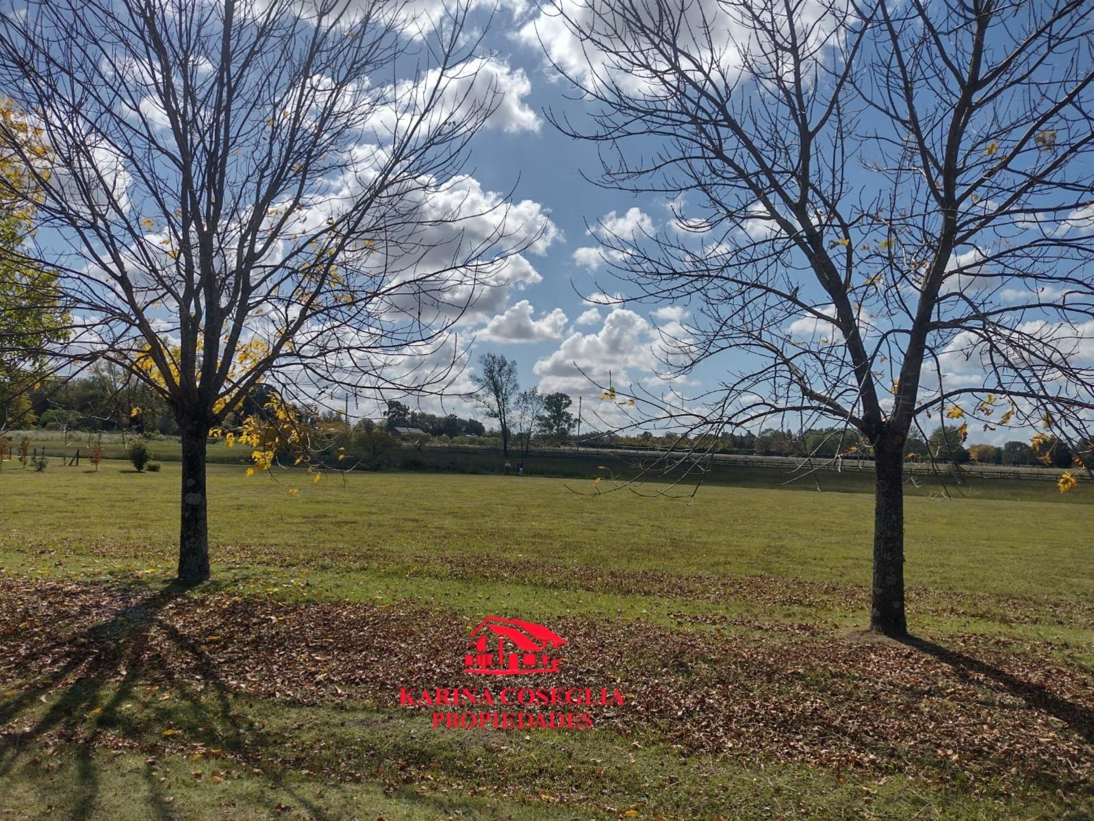 LOTE EN VENTA EN CLUB DE CAMPO LOS PALENQUES, MANZANARES — foto 5