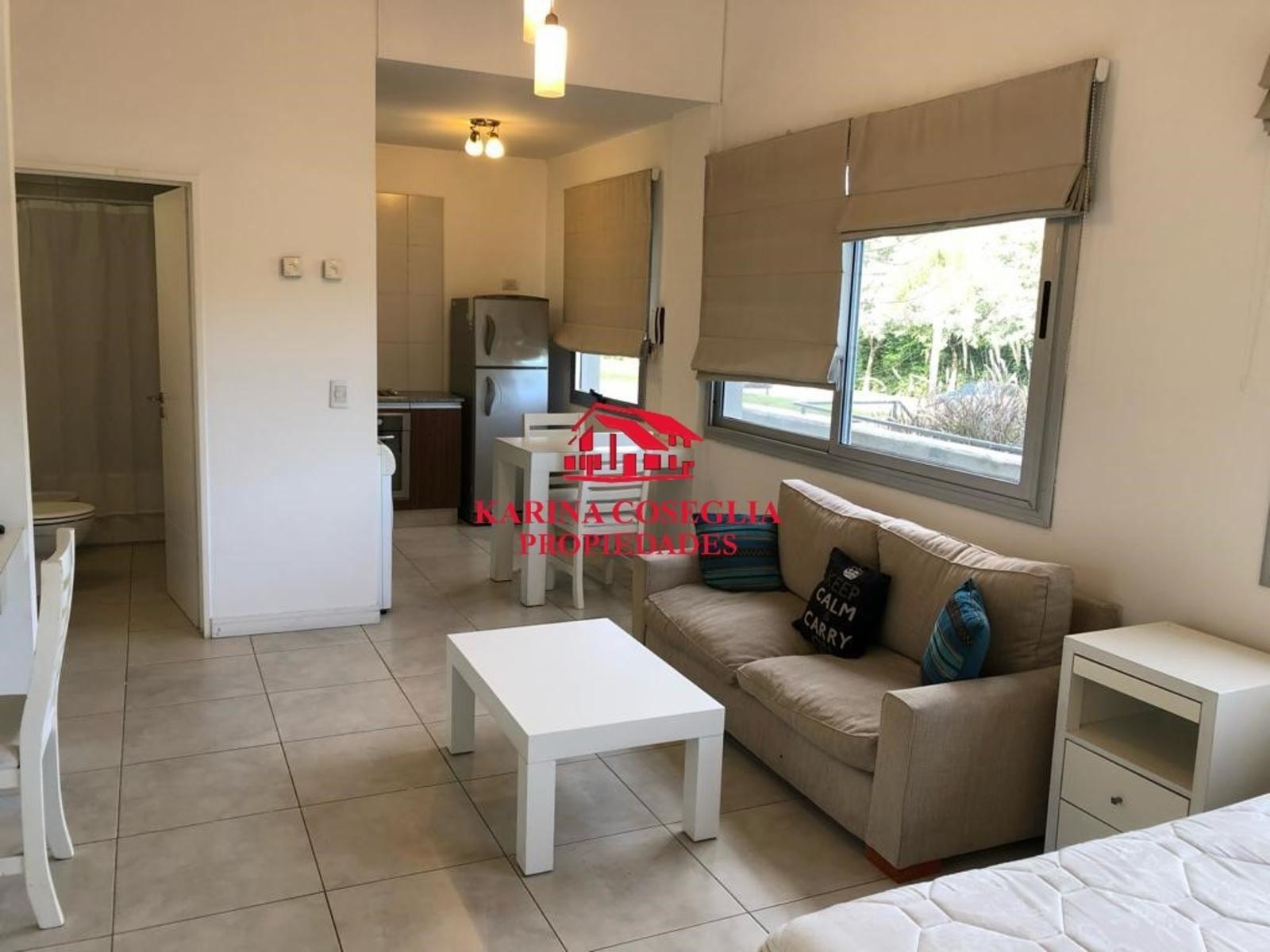 MONOAMBIENTE , AMOBLADO , EL PALMAR , NORDELTA — foto 3