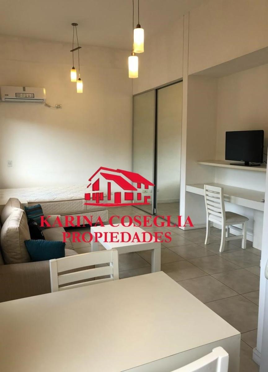 MONOAMBIENTE , AMOBLADO , EL PALMAR , NORDELTA — foto 6