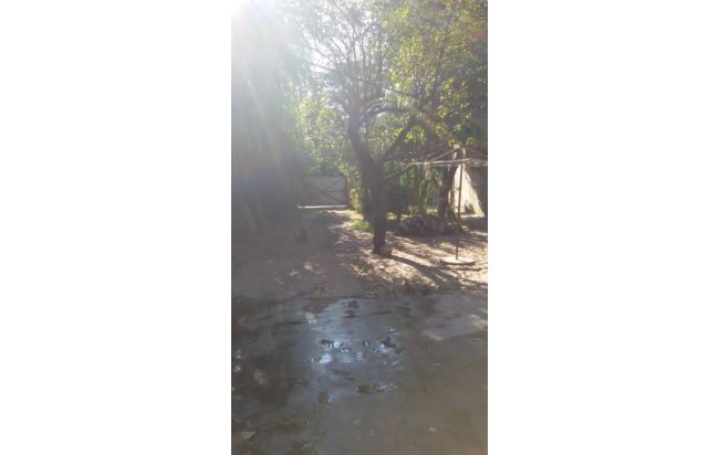 2 CASAS A REFACCIONAR EN LOTES DE 18 X 40. SAN MIGUEL IDEAL PARA INVERSORES. — foto 5