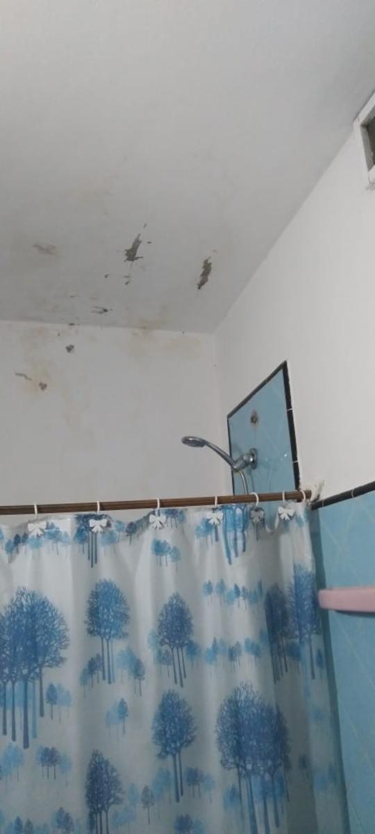 CASA AMERICANA DE 4 AMBIENTES // NUEVO VALOR — foto 14