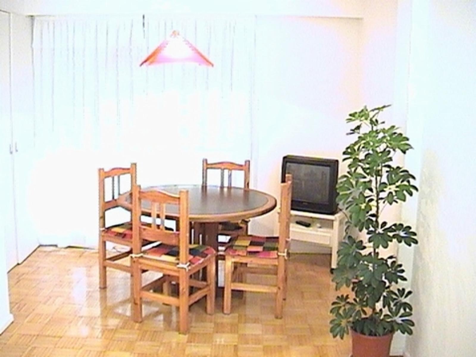 Excelente Monoambiente, APTO PROFESIONAL- BARRIO NORTE — foto 4